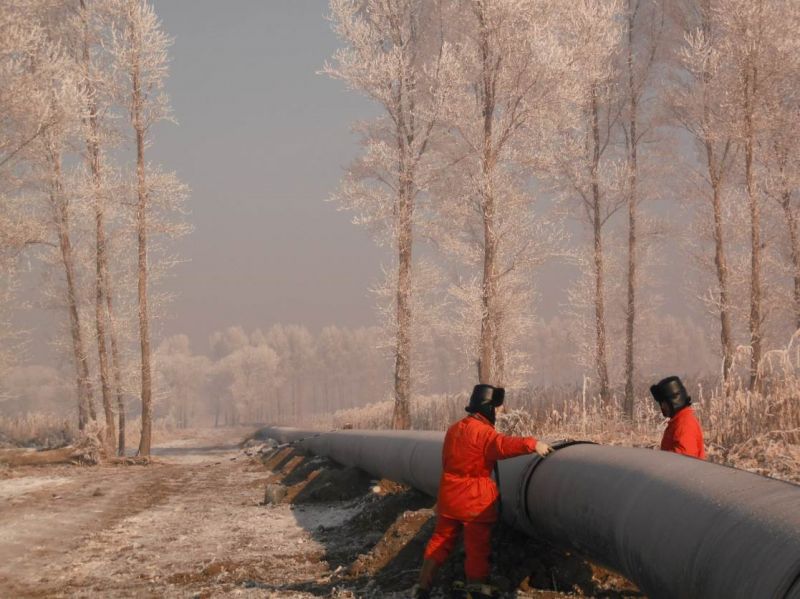 長輸管道類檢測業(yè)績